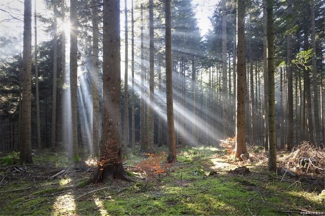 什么是負(fù)折射率？何為負(fù)折射率？