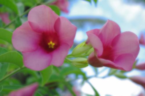 濾光片 享受數(shù)碼的樂趣賓得K-7數(shù)碼濾光鏡實拍(3)