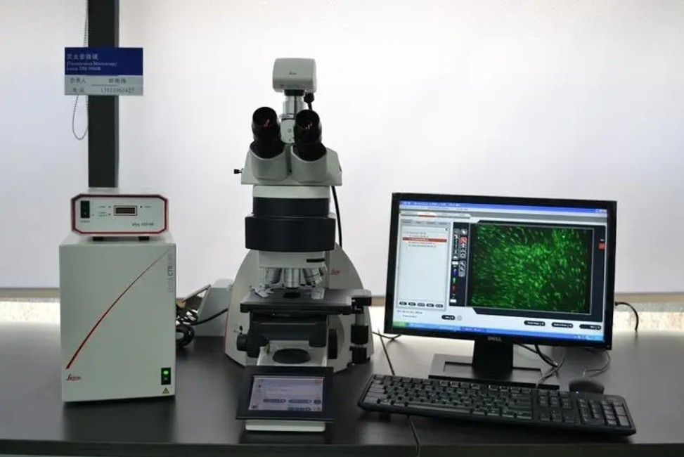 濾光片 熒光顯微鏡濾光片應用