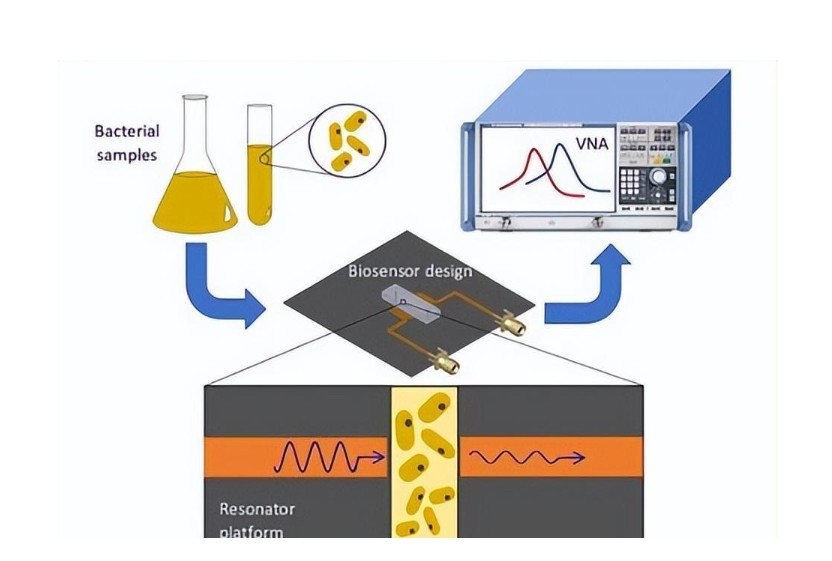 生物樣本光學(xué)傳感器中有色玻璃的應(yīng)用 生物樣本光學(xué)傳感器中有色玻璃的應(yīng)用