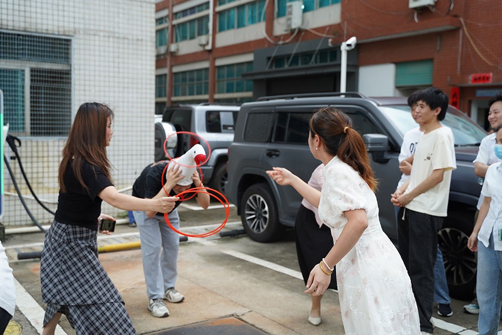 趣味活動套大鵝2