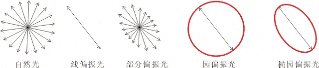 什么是偏振光？偏振光是如何完成檢測的？