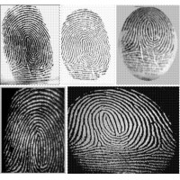 最早的指紋識別在中國--指紋識別發展史