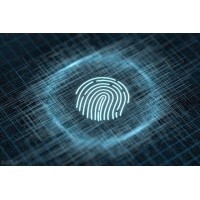 全國5月15日起簽發電子護照辦理需采集指紋